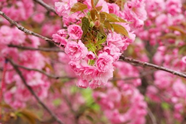 湖州线下个人借款平台一站式服务，轻松解决资金难题