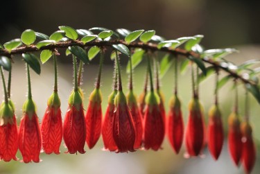 湖州零用贷短借：轻松解决临时资金需求