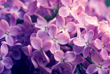 湖州企业急用钱贷款攻略：快速融资解燃眉之急